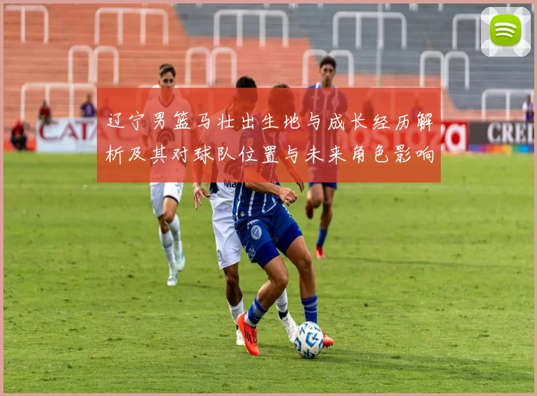 辽宁男篮马壮出生地与成长经历解析及其对球队位置与未来角色影响